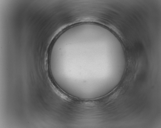 X0000068261126200604281518