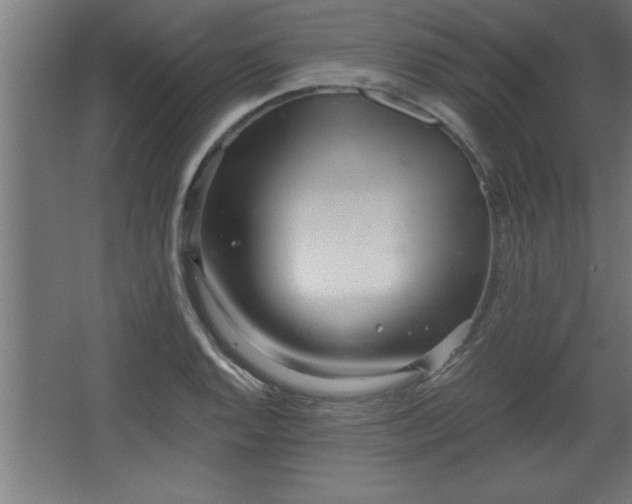 X0000068261128200604281518