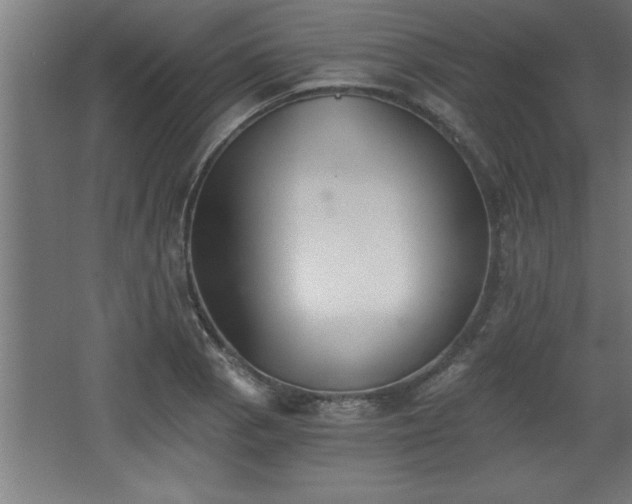 X0000068261129200604281519