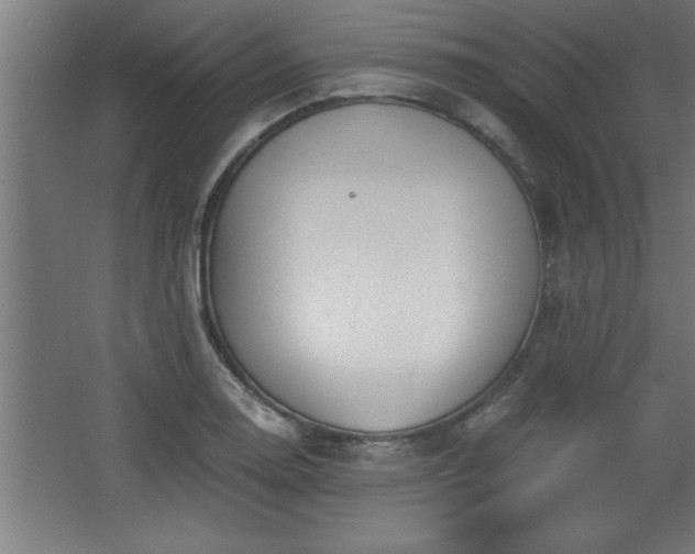 X0000068261130200604281519