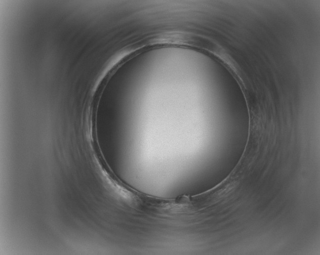 X0000068261131200604281519