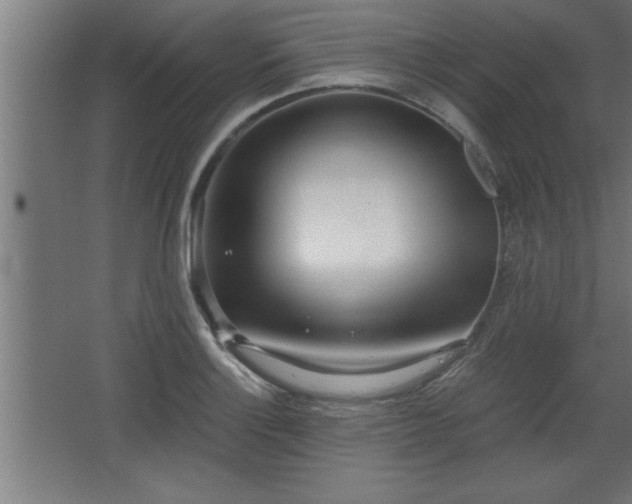 X0000068261132200604281519