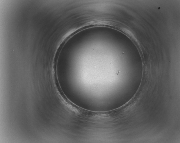 X0000068261133200604281519