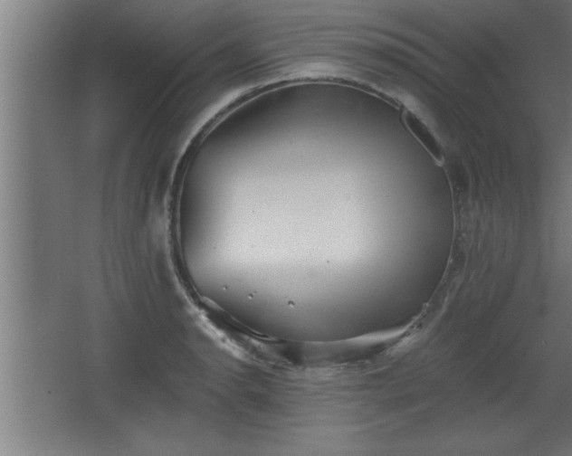 X0000068261134200604281519