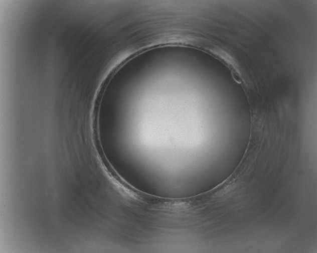 X0000068261135200604281519