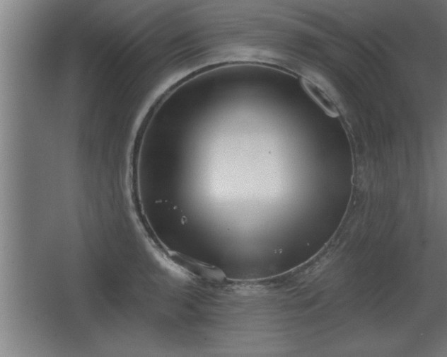 X0000068261136200604281519