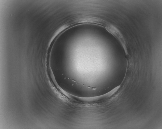 X0000068261138200604281519