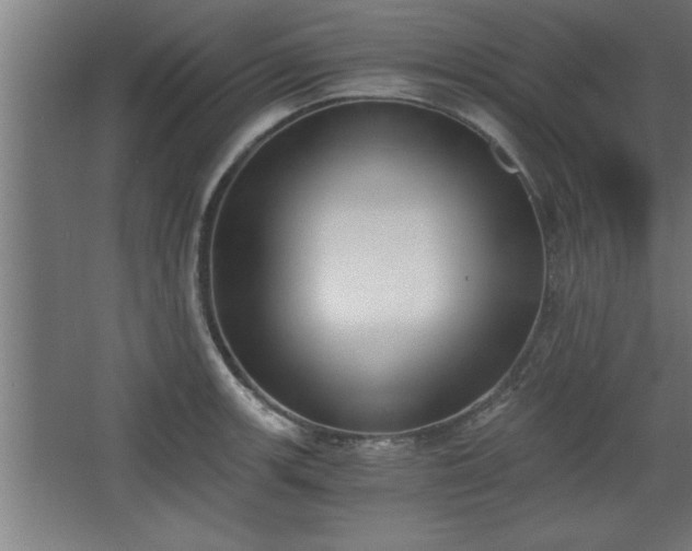 X0000068261139200604281519