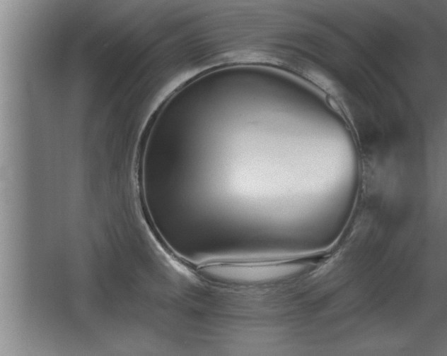 X0000068261141200604281519