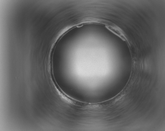 X0000068261143200604281519