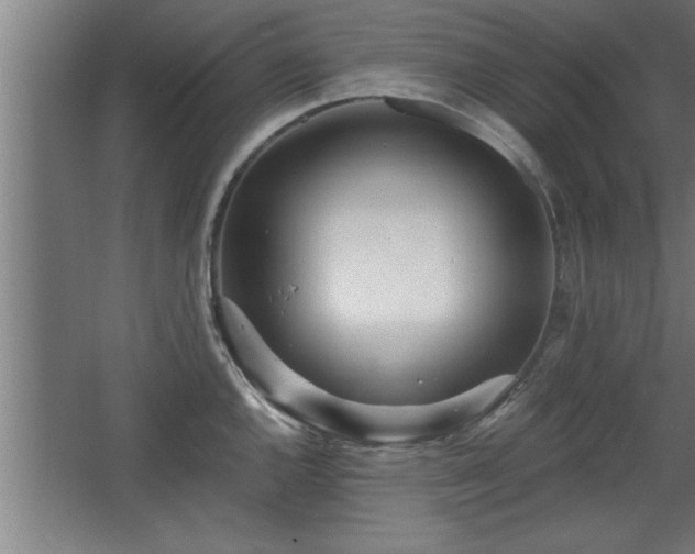 X0000068261144200604281519