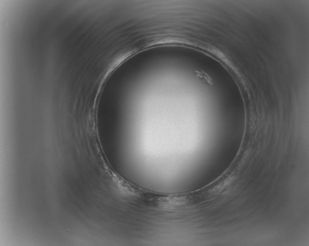 X0000068261145200604281519