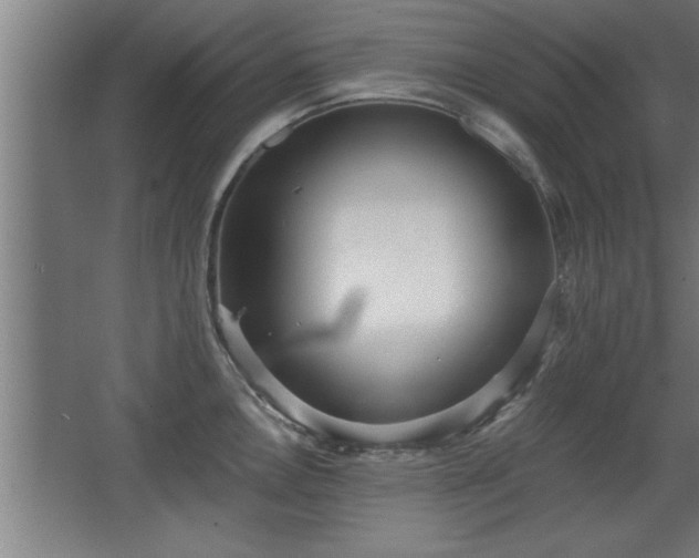 X0000068261146200604281519