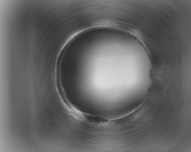 X0000068261147200604281519