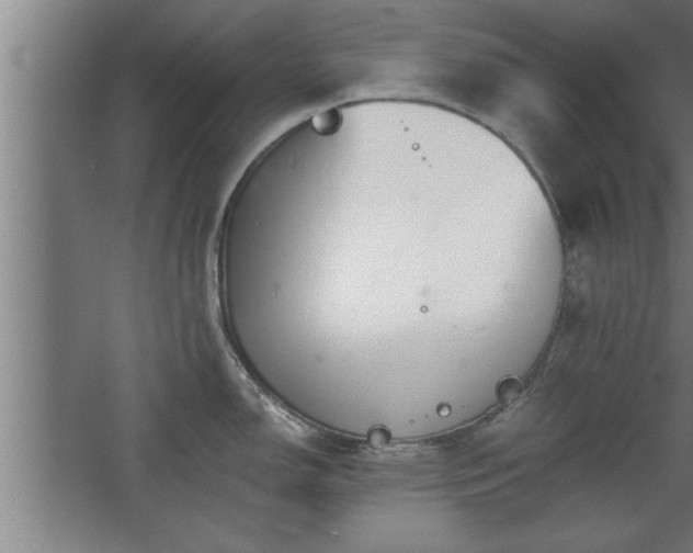 X0000068261150200604281519