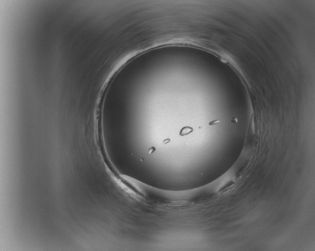 X0000068261151200604281519