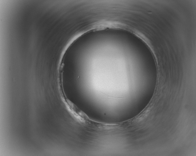 X0000068261152200604281519