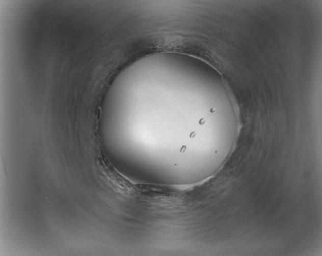 X0000068261153200604281518