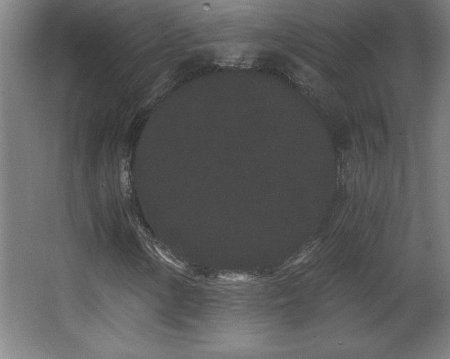 X0000068261154200604281518