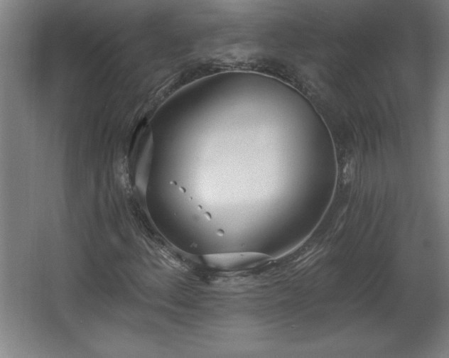 X0000068261156200604281518