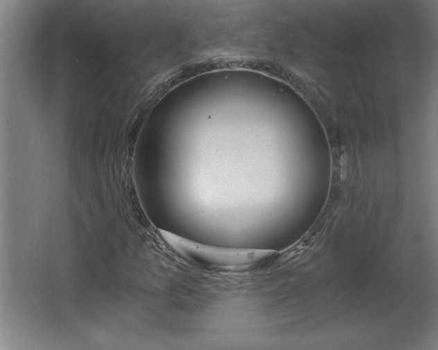 X0000068261157200604281518