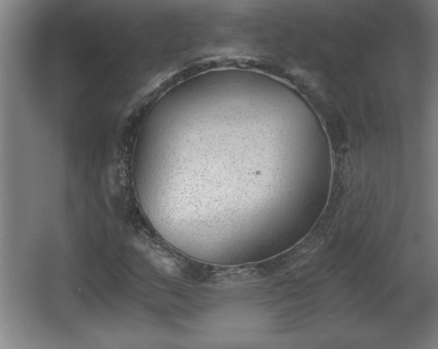 X0000068261159200604281518