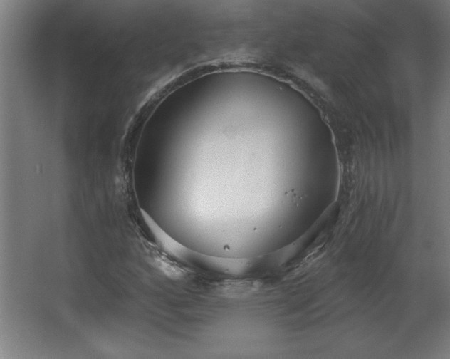 X0000068261160200604281518