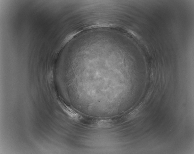 X0000068261161200604281518