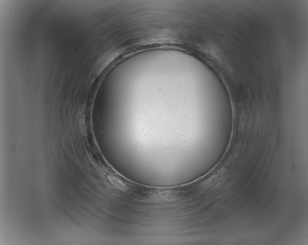 X0000068261162200604281518