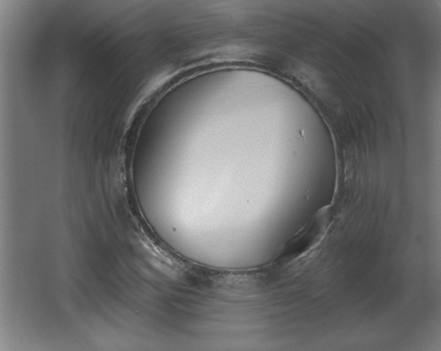 X0000068261164200604281518