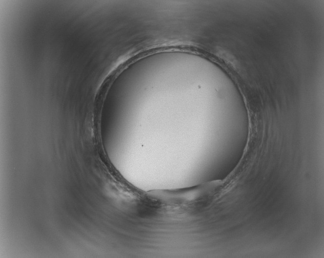 X0000068261165200604281518