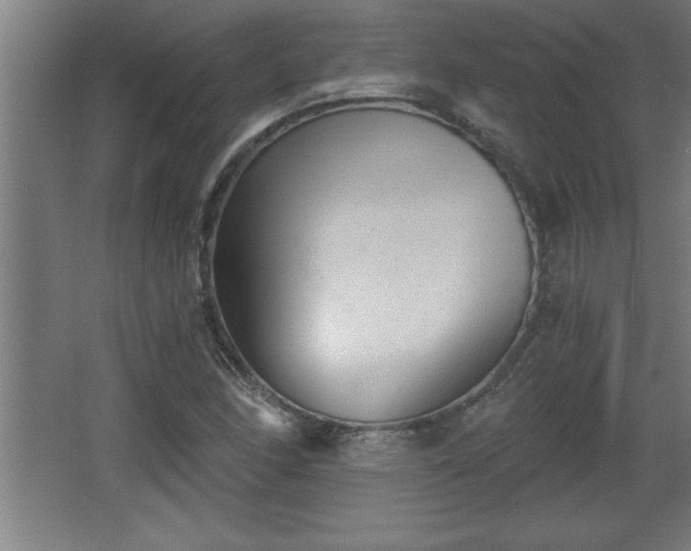 X0000068261166200604281518