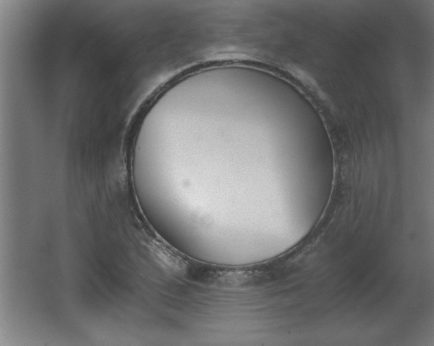 X0000068261167200604281518