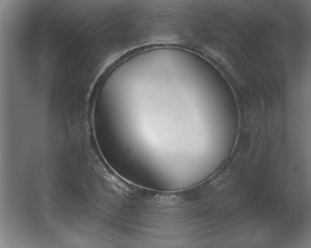 X0000068261168200604281518