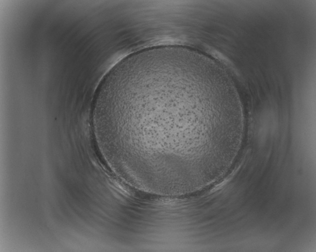 X0000068261170200604281518