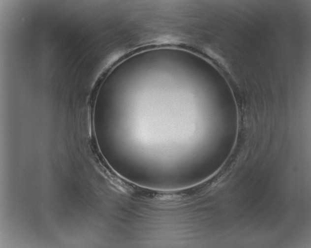 X0000068261171200604281518