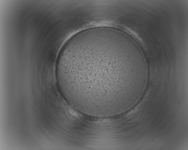 X0000068261174200604281518