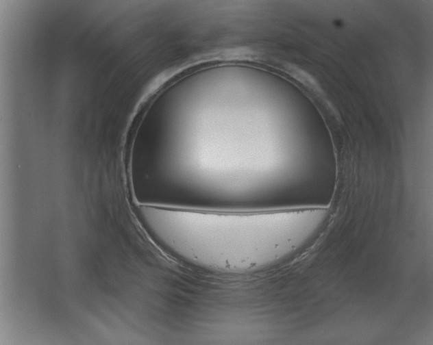 X0000068261176200604281518