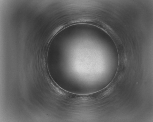 X0000068261177200604281518