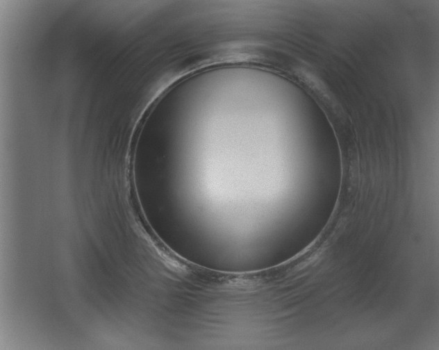 X0000068261178200604281518