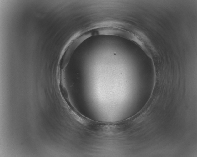 X0000068261180200604281518