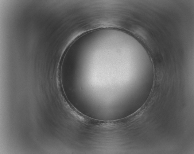 X0000068261182200604281518