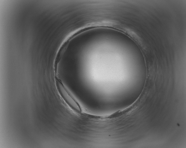 X0000068261184200604281518