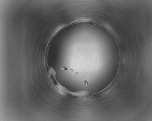 X0000068261186200604281518