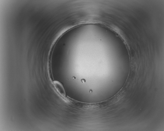 X0000068261187200604281518