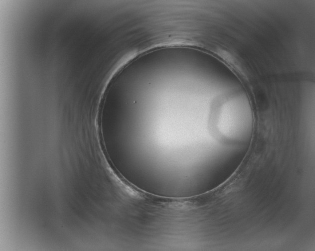 X0000068261189200604281517