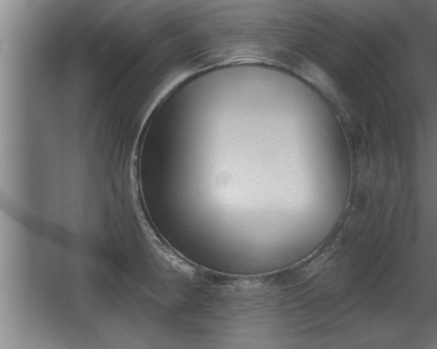 X0000068261190200604281517