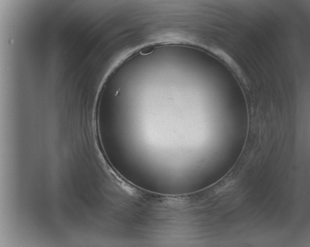 X0000068261191200604281517