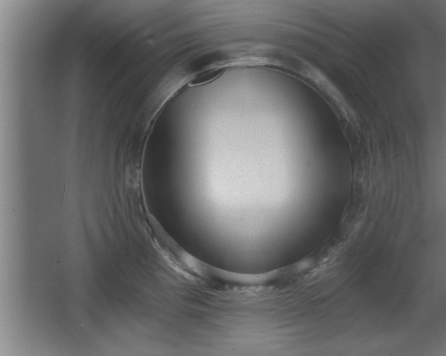 X0000068261193200604281517