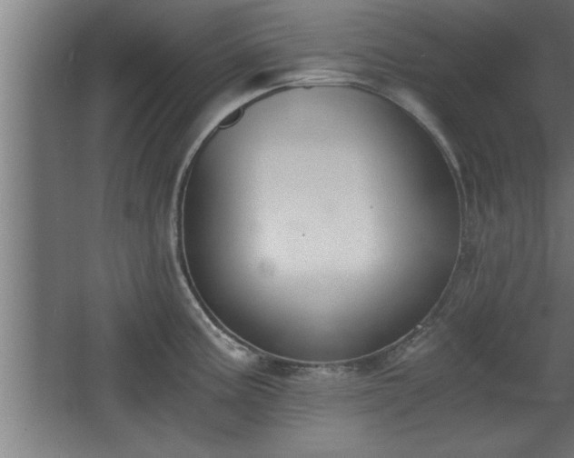 X0000068261195200604281517